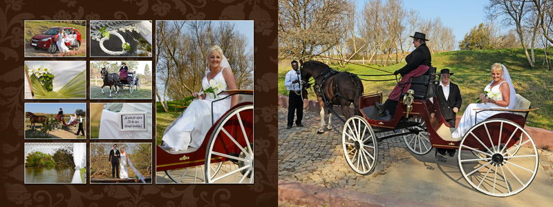 Pro wedding photographer Pierre Bassani